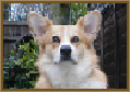 Testimonial 15 - Duke