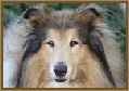 Testimonial 20 - Hamish